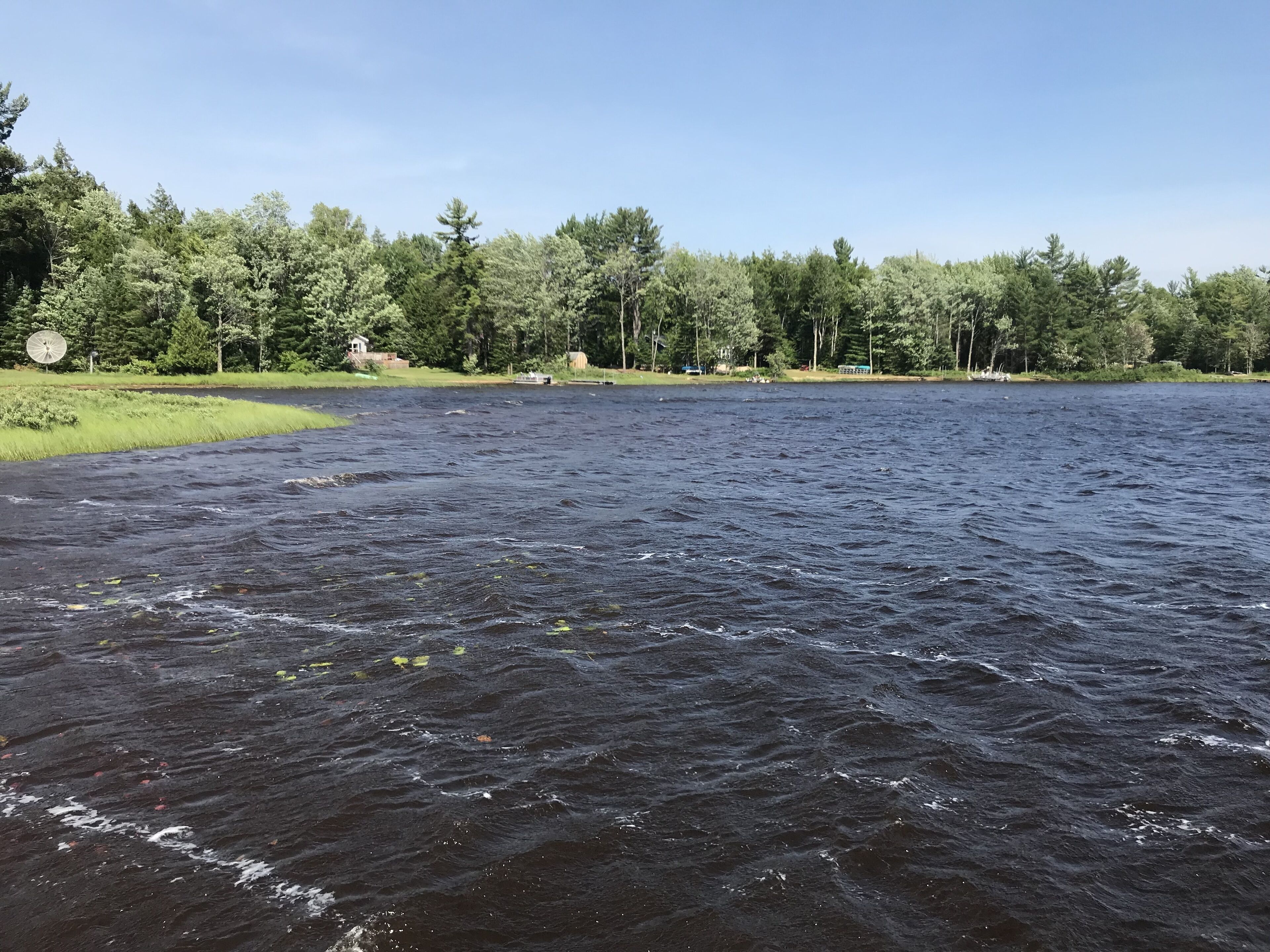 Une rivière bordée d’une rive herbeuse, avec des arbres en arrière-plan.