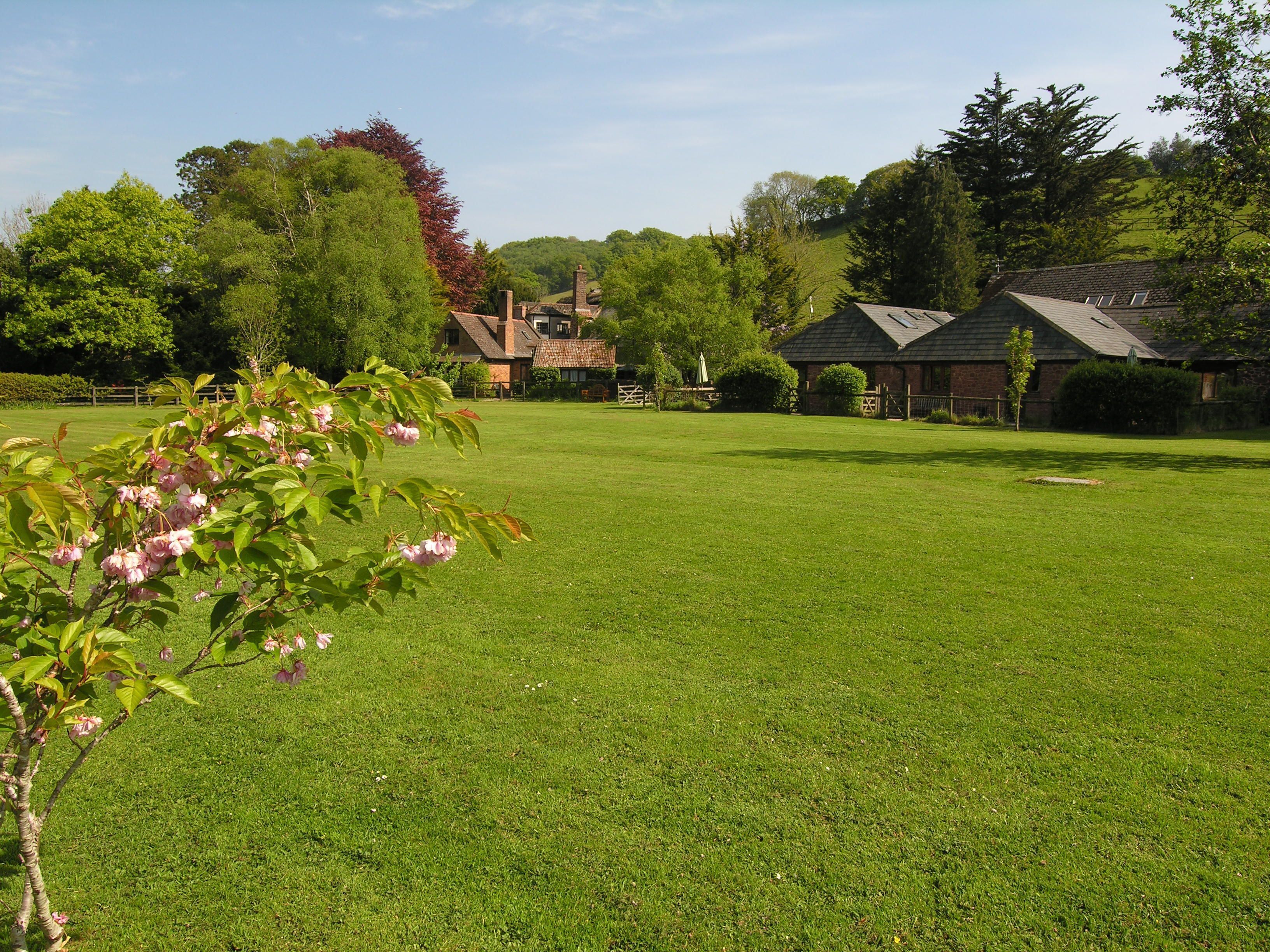 A grassy field with a building in the background.
