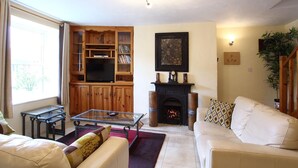 Una sala de estar con chimenea, televisor, armarios de madera y un sofá.