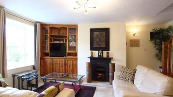 Televisión, chimenea, reproductor de DVD