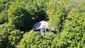 Ein Haus, umgeben von dichtem Wald, mit einem Berg im Hintergrund.