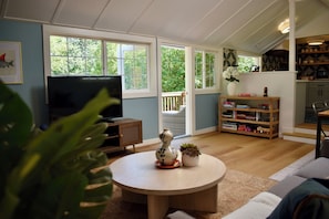 Smart TV, Hulu, books, streaming services