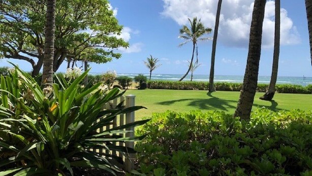 Un jardin luxuriant, avec des palmiers et un banc, d’où l’on peut admirer un ciel bleu azur et l’océan.