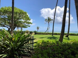 Un jardí exuberant amb palmeres i una panxa, amb vista a un cel blau clar i a l'oceà.