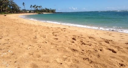 TVNC # 1287: Turtle House by the Sea- A Comfy 2 story Home en Kapaa