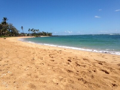 OCEANFRONT to Walking Path & Beach TVNC #1287