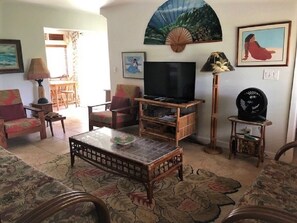 Smart TV, DVD player, books, video library