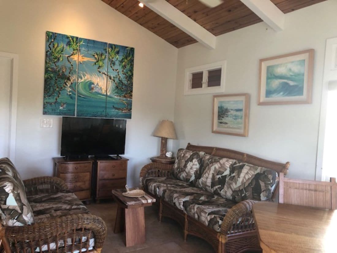 Smart TV, DVD player, books, video library