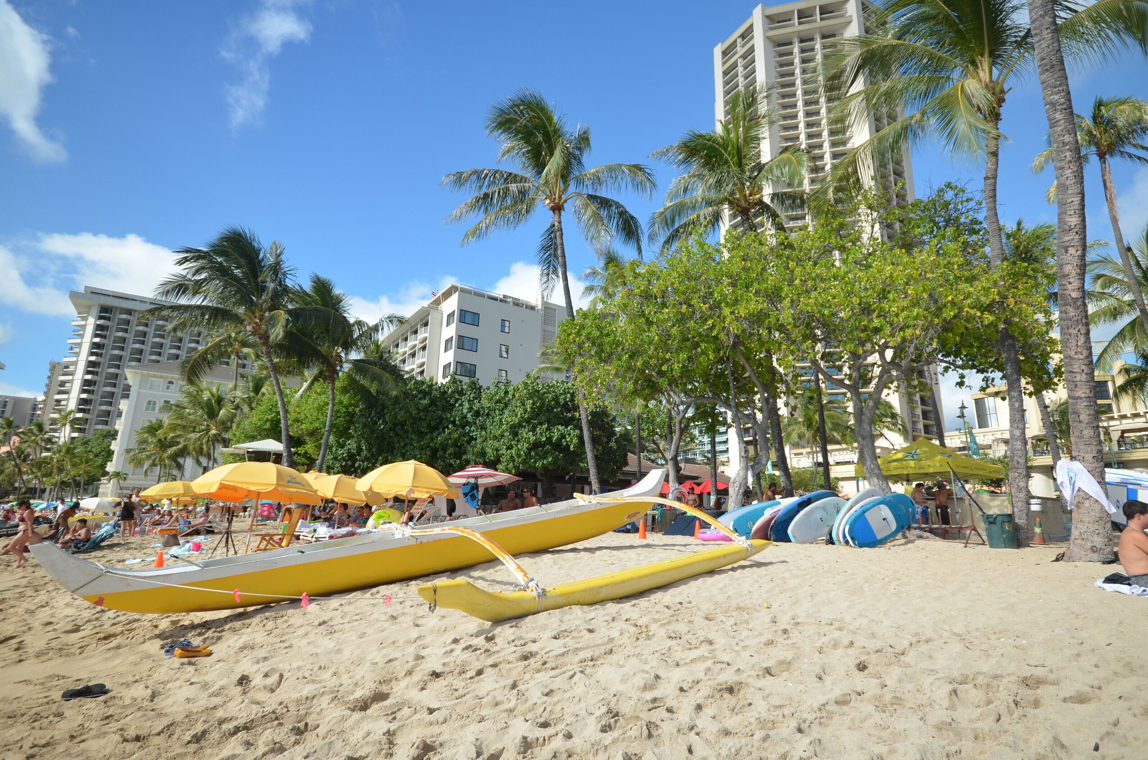 A beach with canoes, umbrellas, and palm trees.