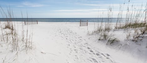 Nära stranden