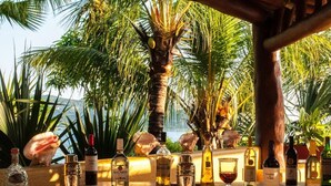 A bar area with various bottles and a glass, surrounded by palm trees and a view of the ocean. - Villa Encantada at Pacific Vacation | StayPV Oceanfront Luxury with Staff (Zihuatanejo)