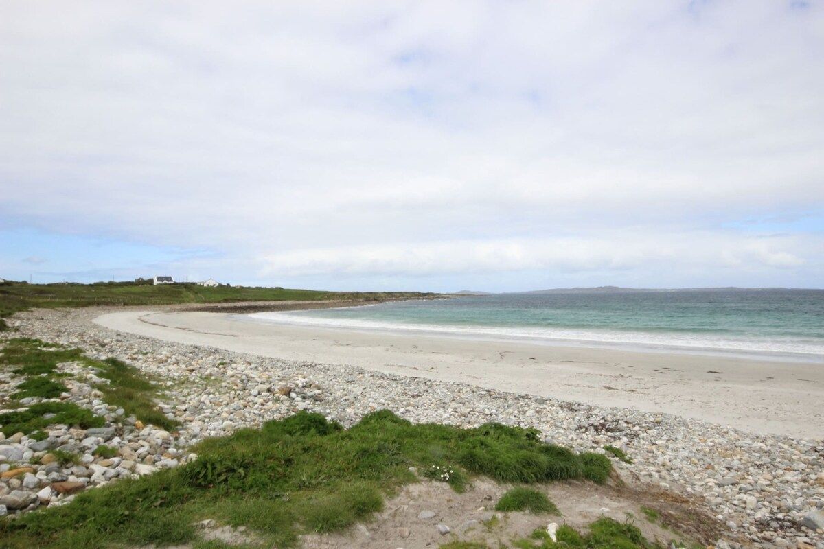 A coastal landscape with a pebble beach, grassy areas, and a distant view of the sea under a cloudy sky.