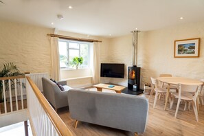 Televisión, reproductor de DVD, videoteca y estéreo