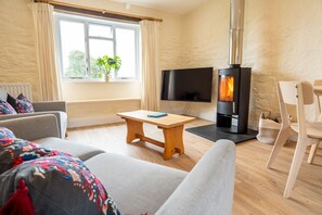 Televisión, reproductor de DVD, videoteca y estéreo