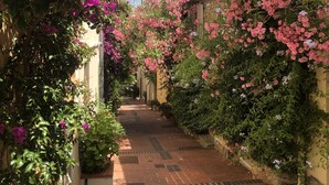 Un callejón estrecho con pavimento de ladrillo, flanqueado por edificios con plantas y follaje florecientes.
