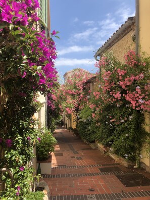 Property grounds - "Koukouli" in the heart of Vieil Antibes. Short walk to the market and beaches. (Antibes)