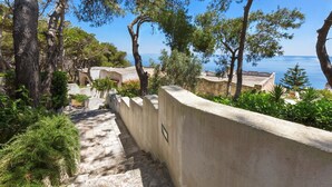 Un sentier bordé d’arbres, avec vue sur la mer.