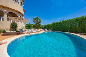 A swimming pool with lounge chairs and a palm tree.