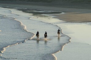 海灘