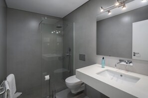 Shower, hair dryer, bidet, towels