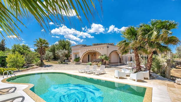 A swimming pool with a rose design, surrounded by palm trees and a patio area with lounge chairs.