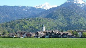 Unclassified image, 2 of 41, button