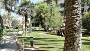 A pathway leading to a building with a stone facade, surrounded by palm trees and a small water feature. - JARDINS DEL MAR 130 (Estartit)