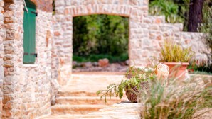 Un chemin de pierres menant à une porte verte, entourée de verdure et de plantes en pot.