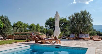 Villa Divina Palace with Swimming pool