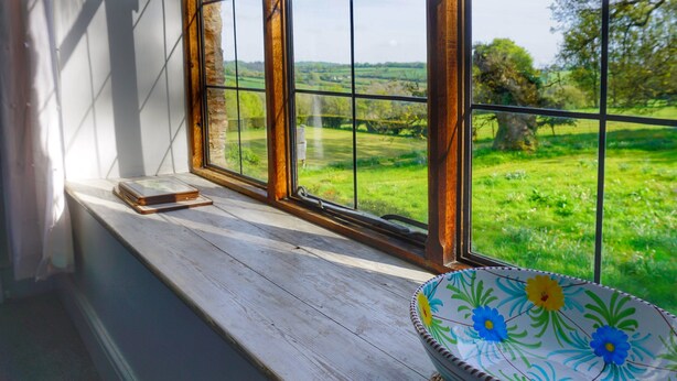 A window with a view of a green landscape, a wooden ledge, and a decorative bowl.