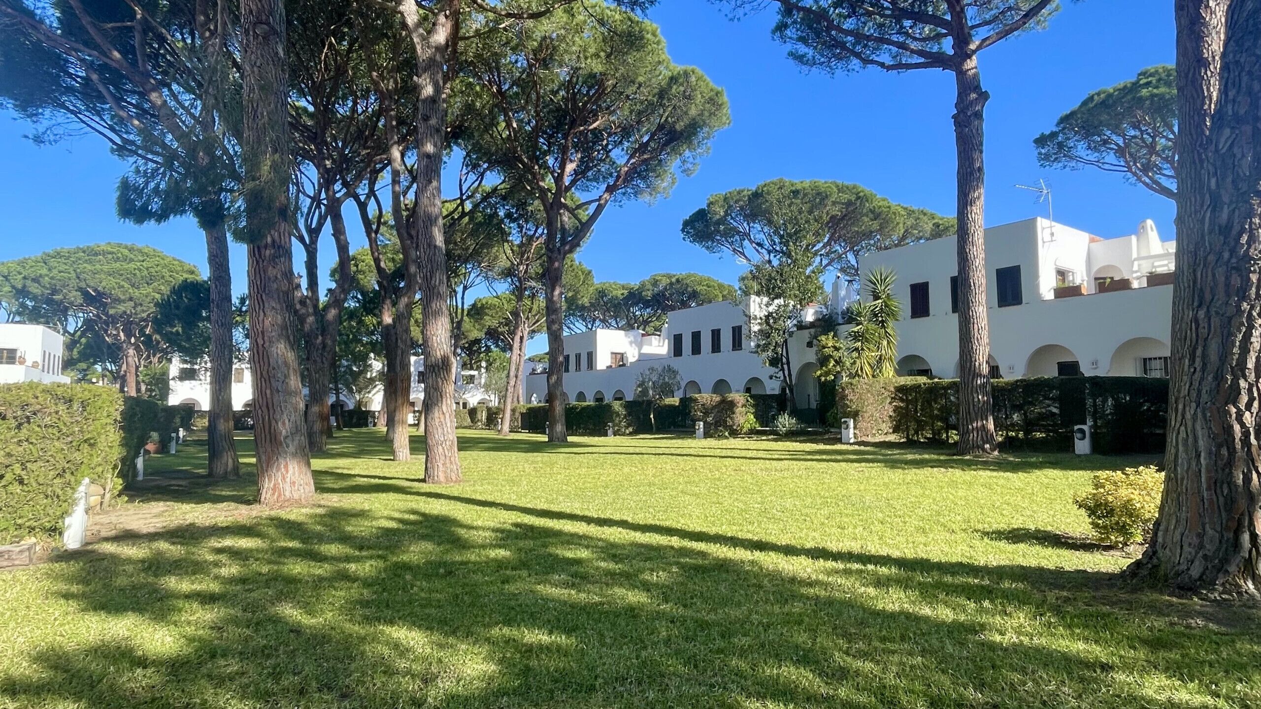 Une cour bordée d’arbres, un bâtiment blanc orné d’arcades et un ciel d’un bleu limpide.