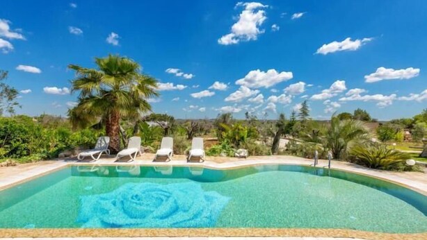 Piscina azul cristalina con diseño de rosa, rodeada de palmeras y sillones de descanso.