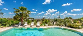 Pajara Gianfredi by BarbarHouse