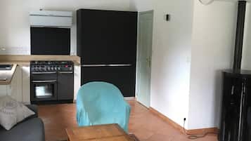Televisio, kirjoja