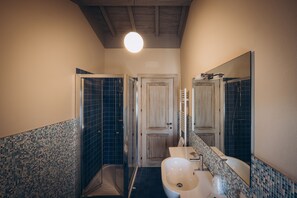 Shower, hair dryer, bidet, towels
