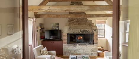 スマートテレビ、暖炉、DVD プレーヤー、書庫