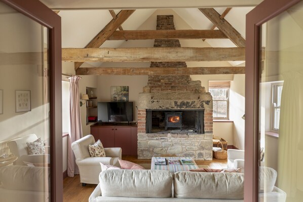 Smart TV, fireplace, DVD player, books