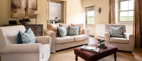 Smart TV, chimenea, reproductor de DVD y libros