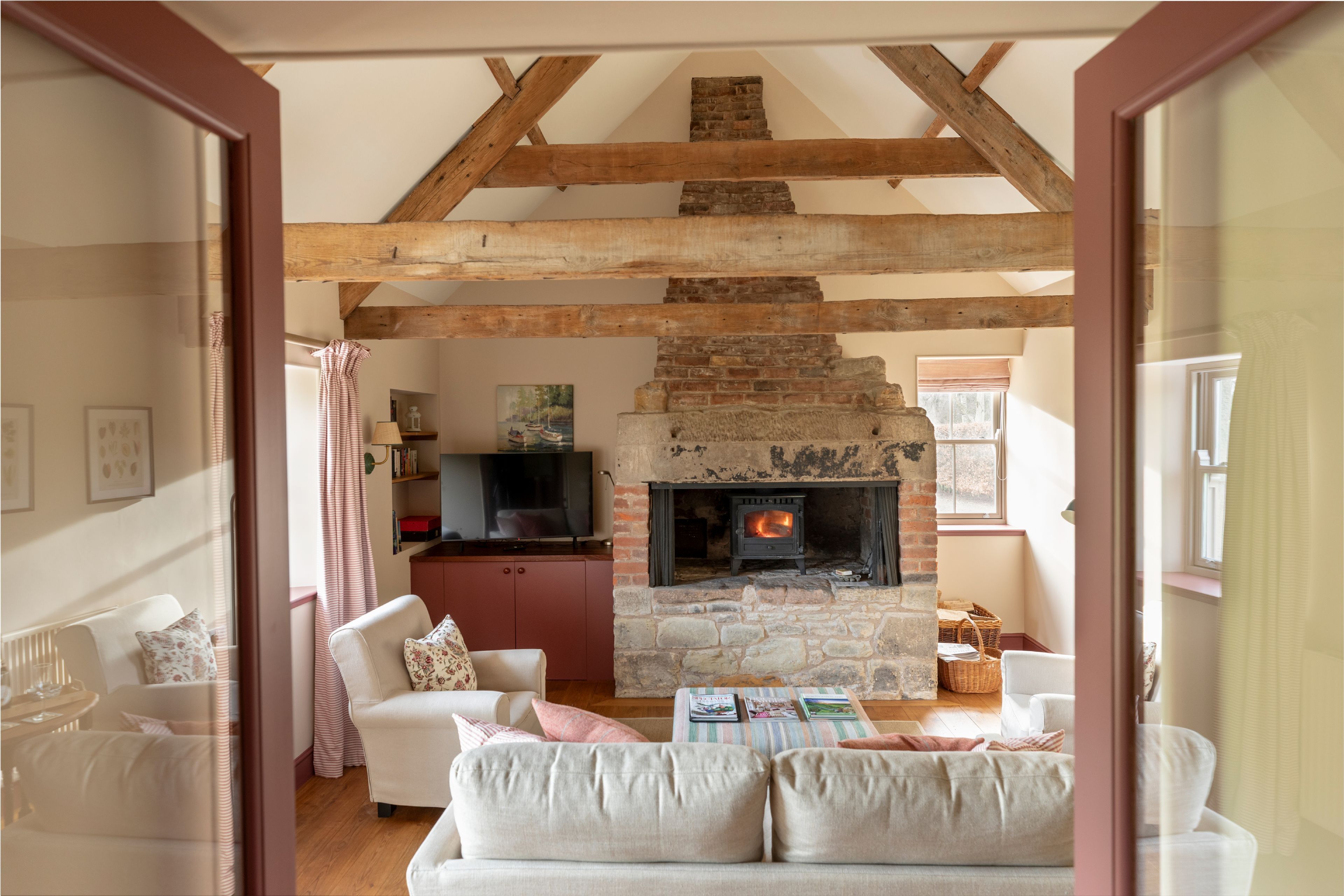 Smart TV, chimenea, reproductor de DVD y libros 