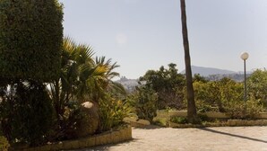 A paved outdoor area with stone flooring, surrounded by various plants and trees, including palm trees and a neatly trimmed hedge. - Finca el Tossal, Altea (Altea)