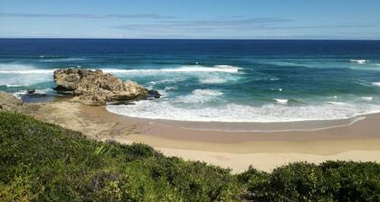 Experience Nature at Brenton on Sea with breakers dolphins and whales