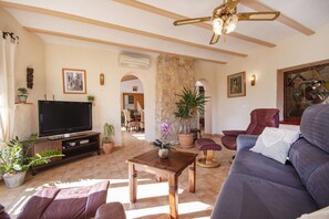 Fernseher, Kamin