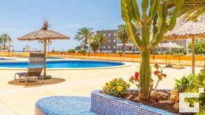Zona de piscina con sillones reclinables, una sombrilla de paja y una planta de cactus.