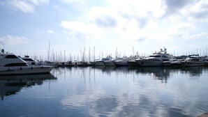 Un porto turistico con diversi yacht ormeggiati.