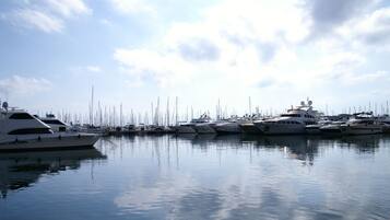 Jachthaven