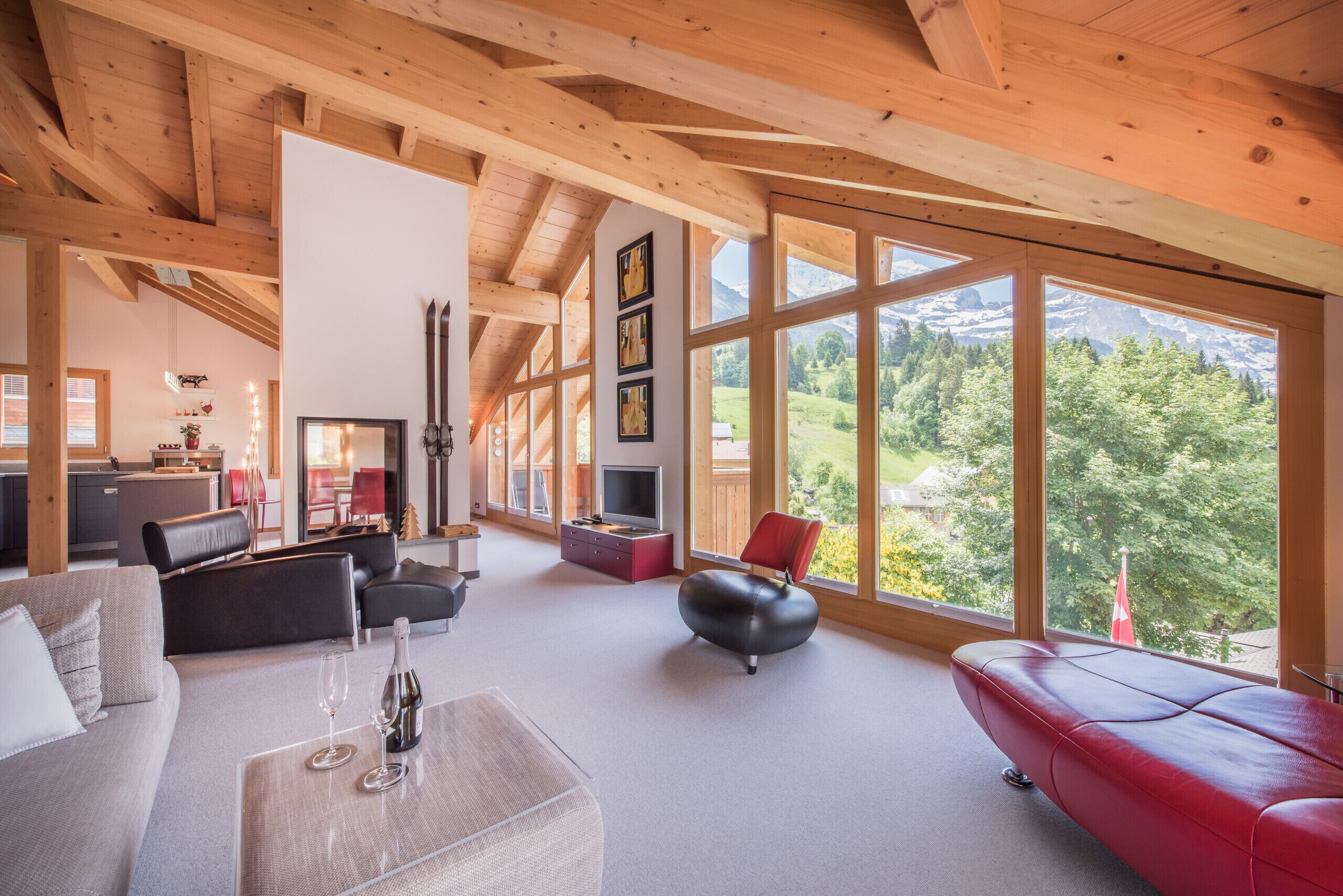 TV, fireplace, DVD player