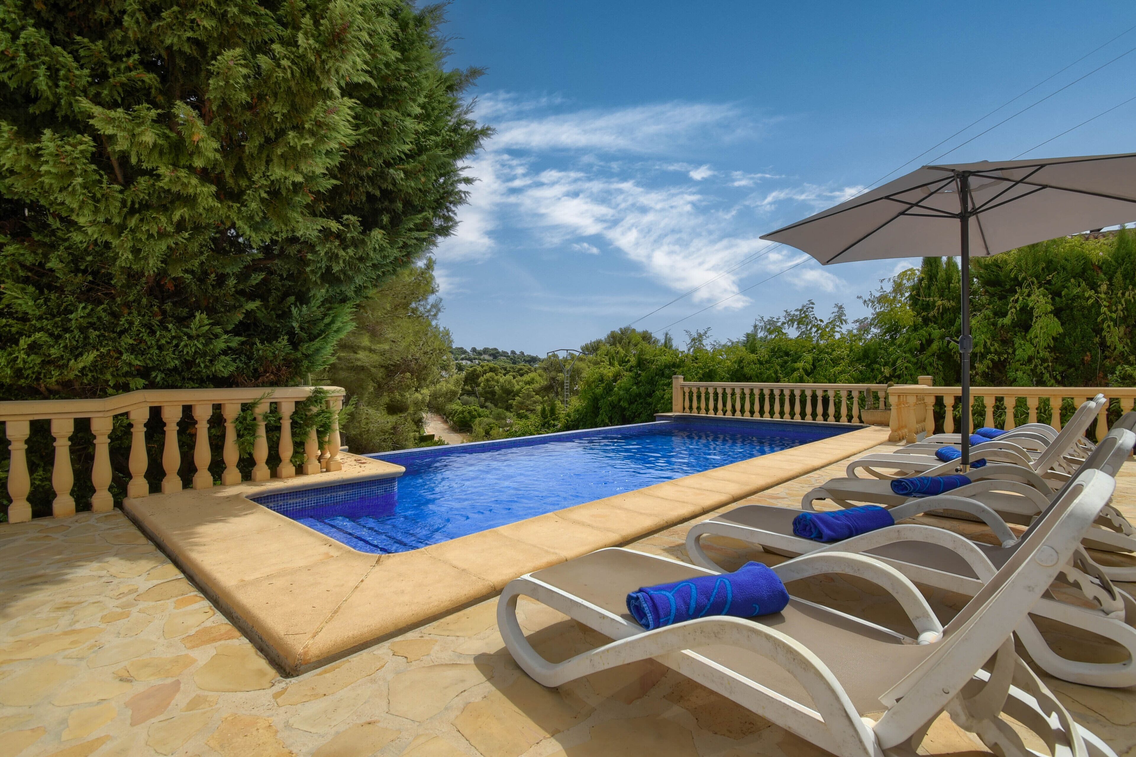 A swimming pool with lounge chairs and an umbrella, surrounded by greenery.