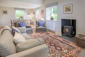 Televisión, chimenea y reproductor de DVD 