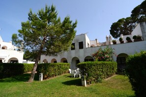 A courtyard with white buildings, arched doorways, and a tree.