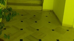 Eine Treppe führt zu einer oberen Etage, eine Topfpflanze und eine Tür mit Fenster.